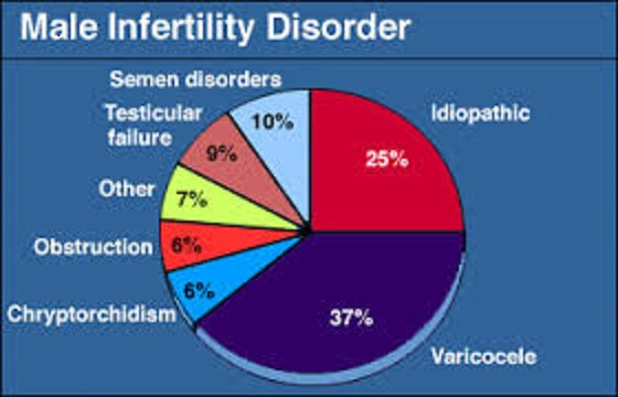 What Is The Leading Cause Of Male Infertility