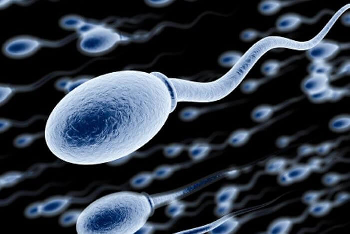HOW TO INCREASE SPERM MOTILITY Thenaturehill Home Of Natural 