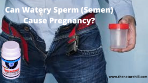 Can watery sperm cause pregnancy