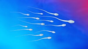 spermboost