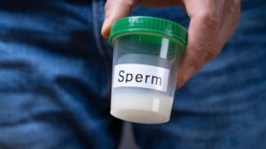 sperm 2