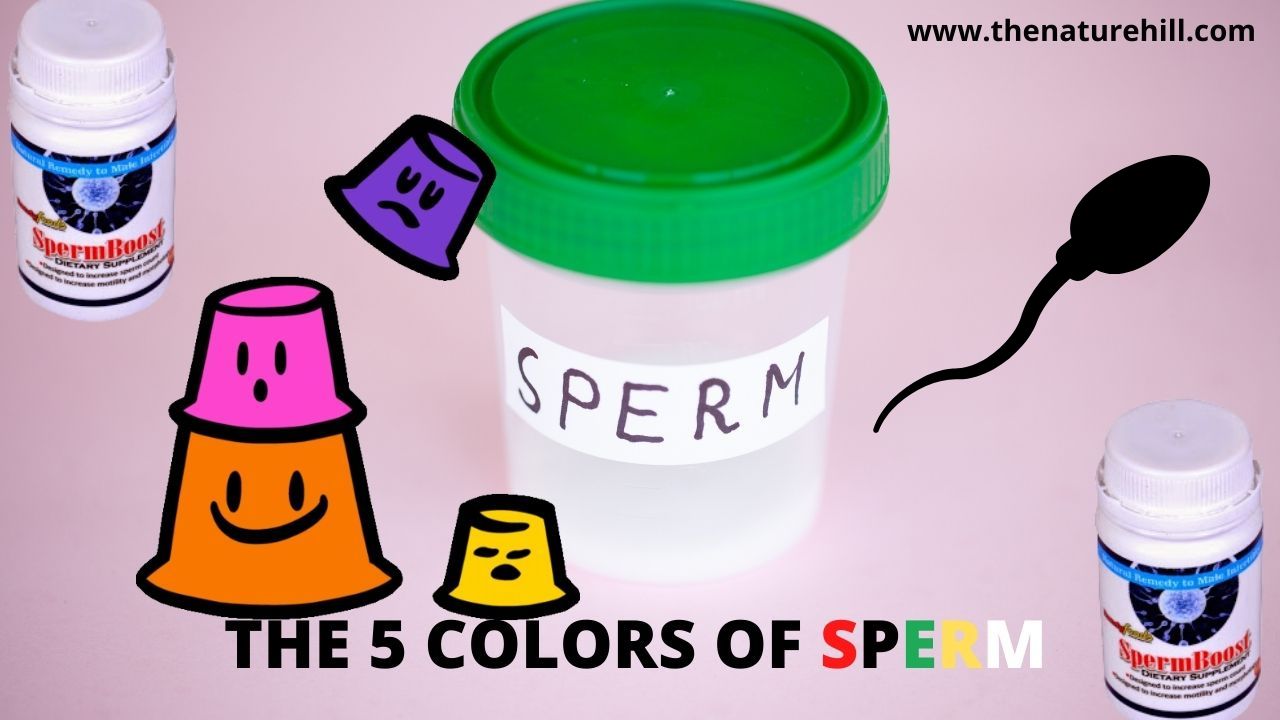 healthy semen color
