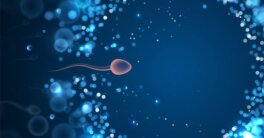 Difference between sperm and semen