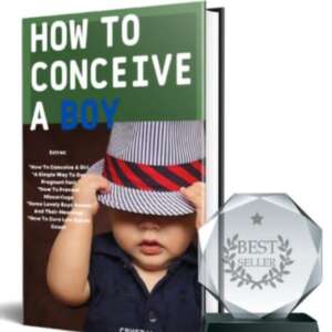 How to conceive a boy