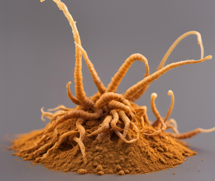 Cordyceps powder