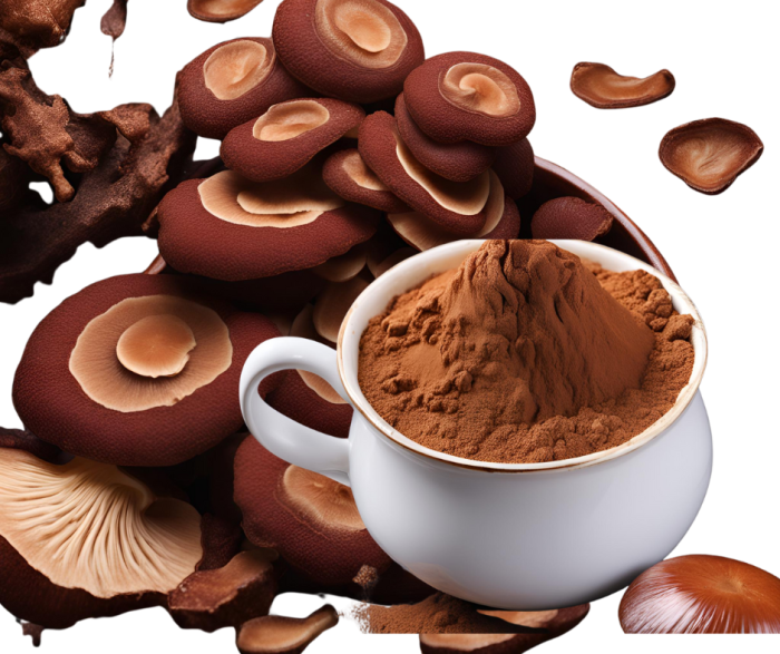 reishi mushroom powder