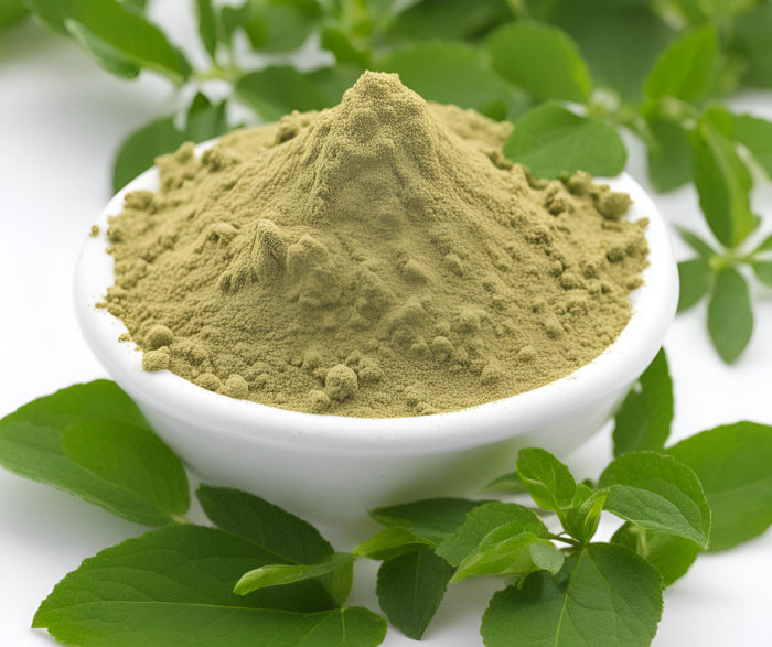 Gymnema Sylvestre Powder