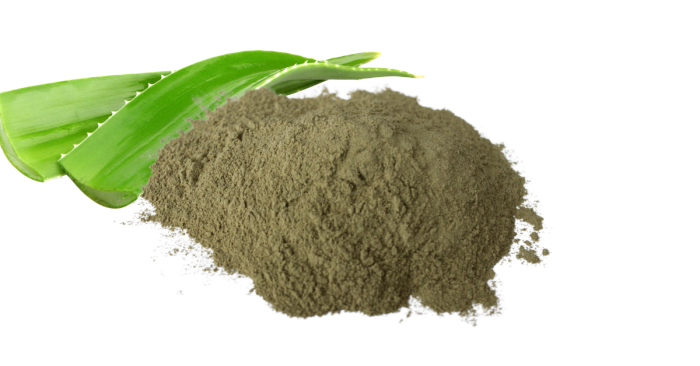 Aloe vera powder extract