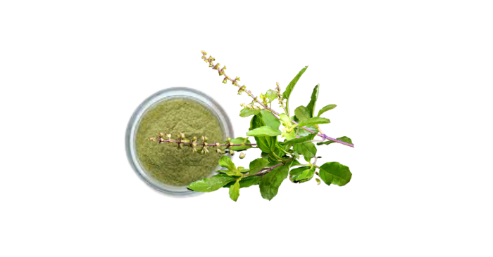 Basil powder