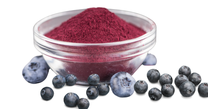 blueberry powder